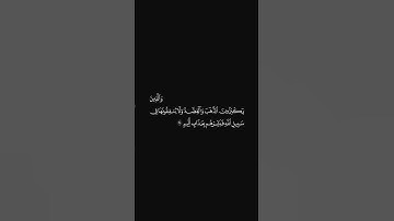 الشيخ ياسر الدوسري سورة التوبة