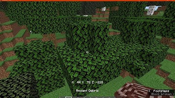 Compass Coords 1.14.4 & 1.15.2 Forge Mod Overview