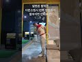 #머리고정#스웨이#배치기#헤드업#올바른동작#레슨#두윤곤프로#골프#잘못된동작#싱글치는법#집에서할수있는연습#탑볼#뒷땅#체중이동