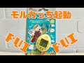 【Tamagotchi nano】PUIPUIモルカっち起動