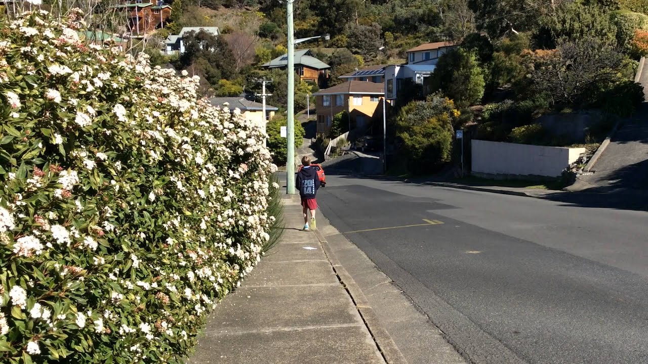 I Wanna Be Famous - MyState Student Film Festival 2014