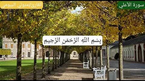 سورة الأعلى القارئ متولي البيومي