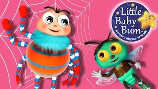 Itsy Bitsy Spider | Nursery Rhymes for Babies by LittleBabyBum - ABCs and 123s