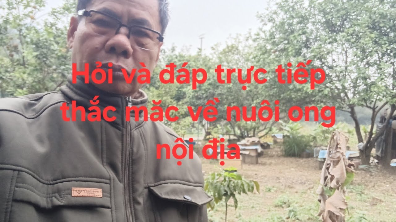 Kỹ thuật nuôi ong Ninh Phương đang phát trực tiếp!GIAO LƯU HỎI ĐÁP.
