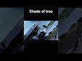 We need shade of tree