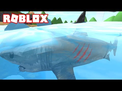 Me Convierto En Un Tiburon Asesino Come Gente Roblox Sharkbite Youtube - ᐈ nos atacan tiburones roblox shark attack en espanol