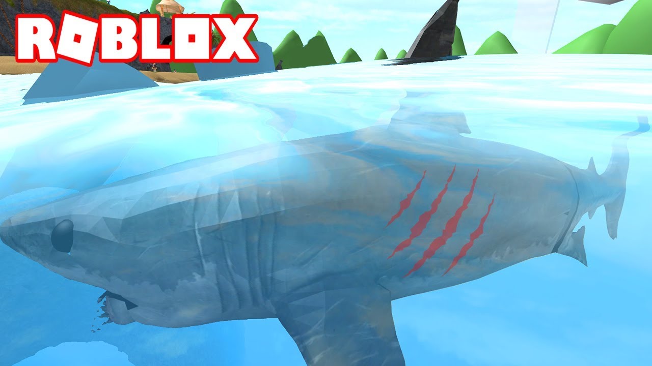 Me Convierto En Un Tiburon Asesino Come Gente Roblox Sharkbite Youtube - ᐈ un tiburon se come a lenay roblox juegos gratis en linea