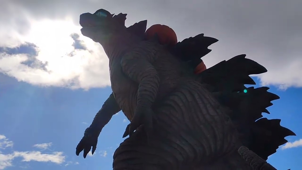 FAZENDA DE ABOBORAS NA CALIFORNIA 