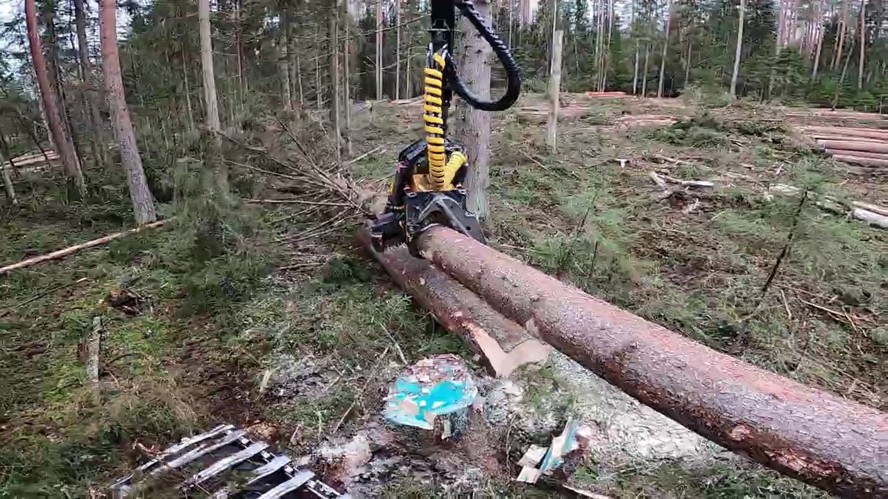 Vasta sahauksesta vähän juttua ja melkein 6000 litran kuusi. Ponsse Scorpion King H7.