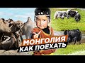 Чумные сурки. Монголия это горы. Морозы в июле. Как зайти в Монголию.