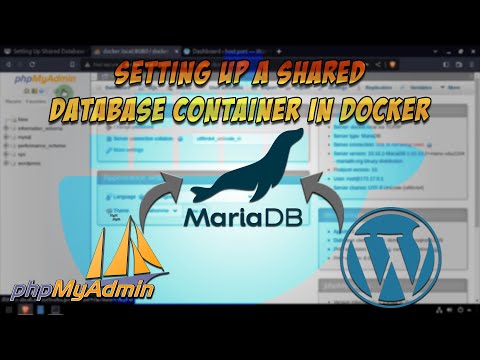 Setting Up Shared Database Container in Docker [3 methods]