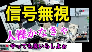 【赤信号無視】信号無視の常習者って池袋のあの暴走プリウスと同じことやっているんだよね【危険運転煽り運転撲滅委員会】 【赤信号無視】信号無視の常習者って池袋のあの暴走プリウスと同じことやっているんだよね【危険運転煽り運転撲滅委員会】