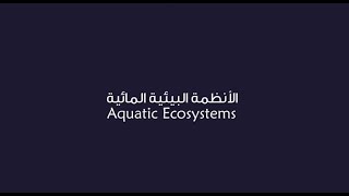 الأنظمة البيئية المائية | علم بيئة