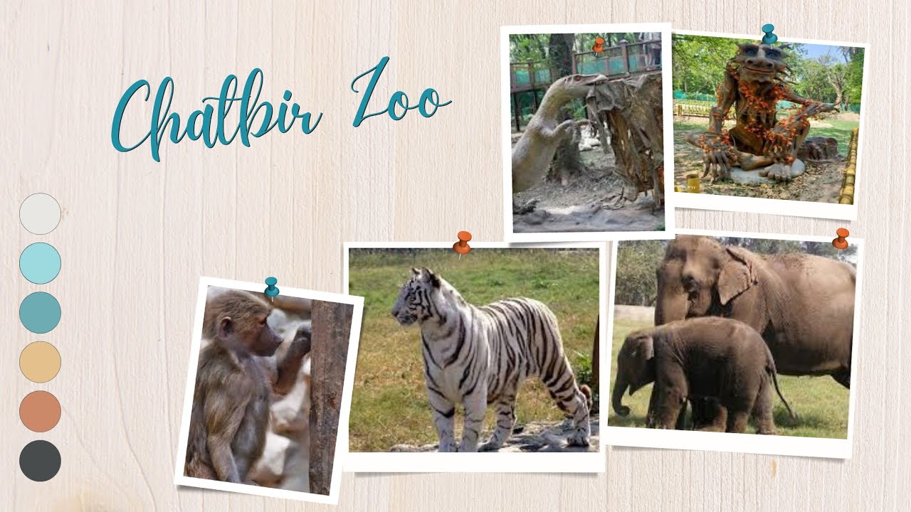 Chatbir Zoo | Chandigarh | College Trip | SL Bawa DAV College Batala |Tourist Place |Kunal Bhagat |