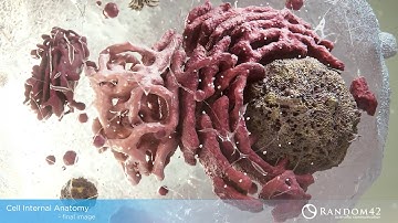 Cell Anatomy, Making Of - Scientific Visual Effects : TP