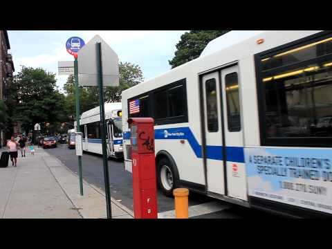 B8 Bus Route In Brooklyn
