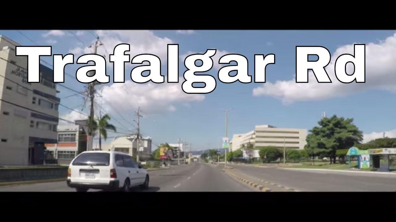 Trafalgar Road, New Kingston, Jamaica YouTube