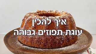 איך להכין עוגת תפוזים גבוהה ומרשימה? מתכון מנצח לעוגת תפוזים עם 100% הצלחה!