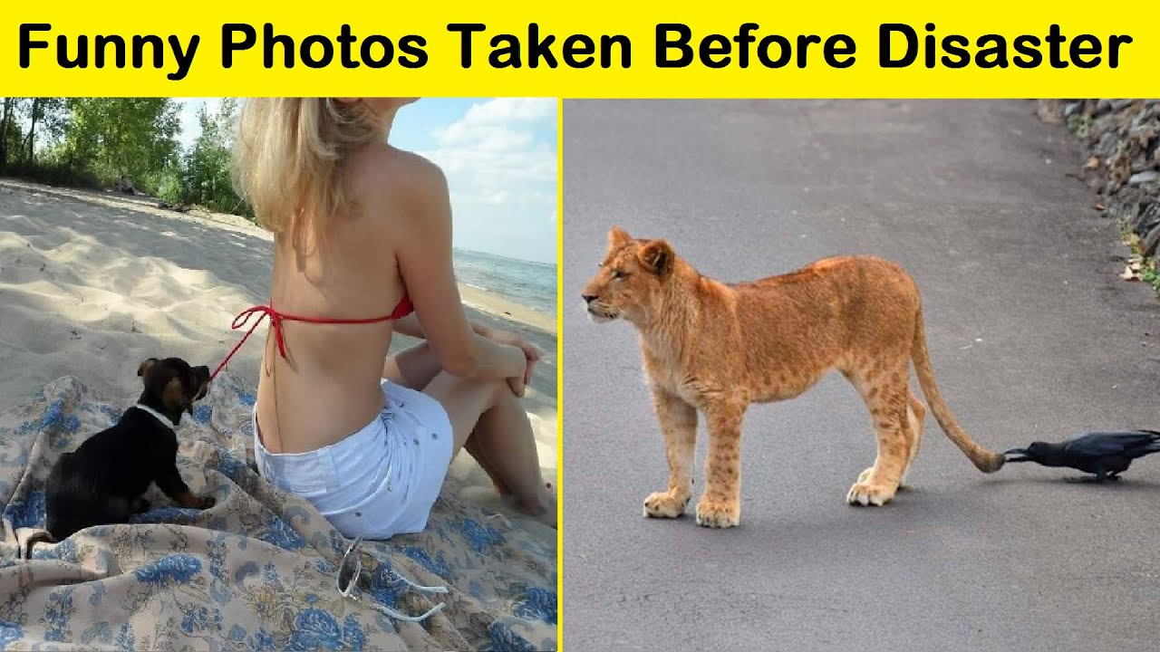 Funny Photos Taken Before Disaster || Funny Daily