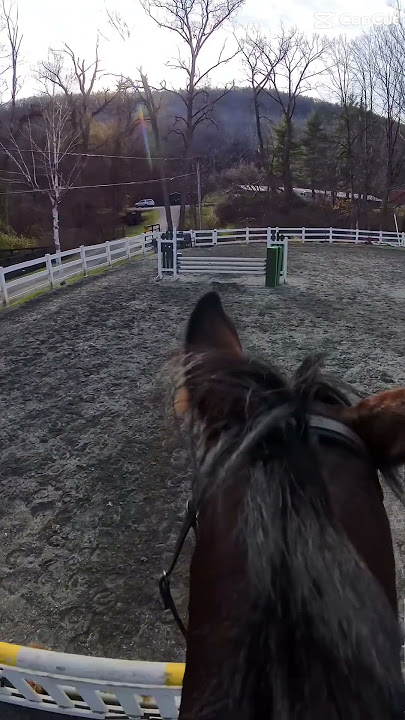 I rode so sloppily today 😭 luckily Z decided to be a saint and take my horrendous distances