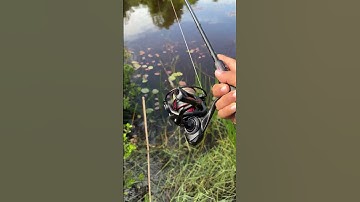 Lure cá lóc #shortvideo #fishing #caucathugian