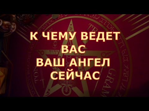 🕊️ О ЧЕМ  ВАМ ХОЧЕТ СКАЗАТЬ ВАШ АНГЕЛ  в ЧЕМ ОН ВАМ ПОМОГЕТ СЕЙЧАС Таро знаки судьбы#tarot#gadanie