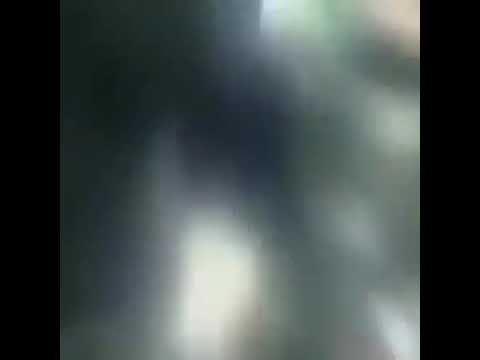 عايز تاكل ايه انا شيف طبق النهار ديناميت