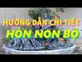 Hướng Dẫn Làm Hòn Non Bộ Chi Tiết