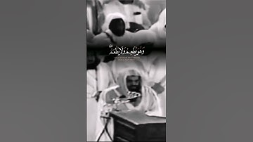 سورة الأنعام ___سعود الشريم