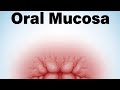 Oral mucosa (Part-2) BDS 1st year @Doc.B-z4r #bds #mds #dental #dadh
