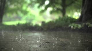 Eunoia (Ambient piano with rain and bird sounds)