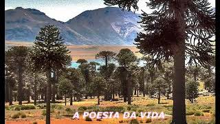 A POESIA DA VIDA ( UMA LINDA REFLEXÃO DE VIDA ) #motivação#gilsonsouza#reflexãodevida