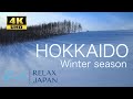 【4K】HOKKAIDO Furano and Biei relax music