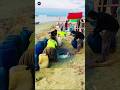 They’re Dumping Oil Into the Ground… The Shocking Truth Behind It!