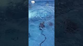 Cold Winter Temps and your Hot Tub is dead. How to keep it from freezin?