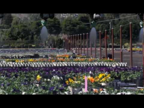 Armstrong Growers Recycling System - Armstrong Garden Center