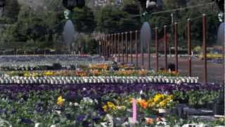 Armstrong Growers Recycling System - Armstrong Garden Center