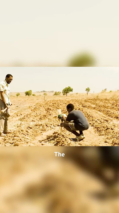What Did the Boy Invent to Fight Drought?🤔#movie #film #shorts