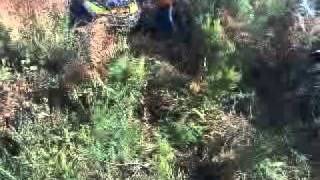 ruta sarria 2011