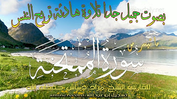 قران كريم تلاوة خاشعة سورة الممتحنة من صلاة التراويح الشيخ مراد دبياش حفظه الله2008-1428
