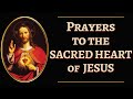 Prayers to the Sacred Heart of Jesus