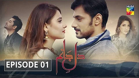 Dil e Jaanam Episode 1 HUM TV Drama