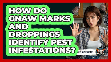 How Do Gnaw Marks And Droppings Identify Pest Infestations? - Insects and Invaders