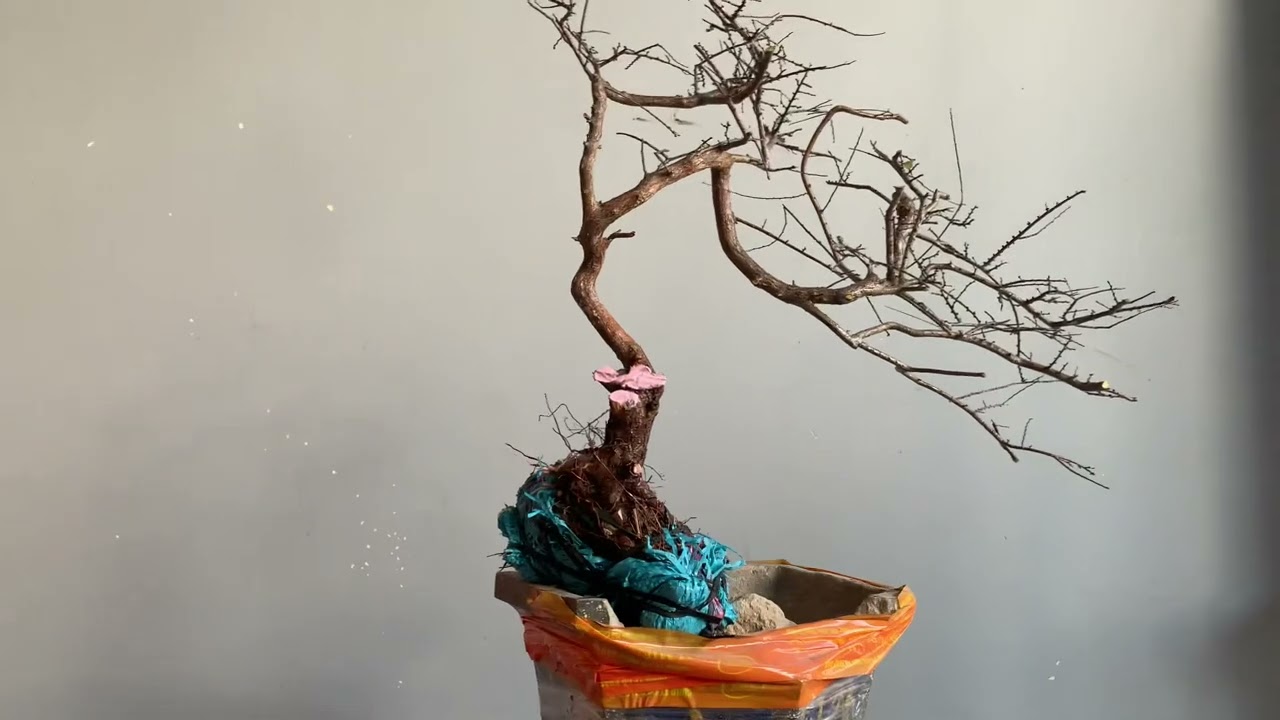 M171. Son liểu 200 lh0908078621