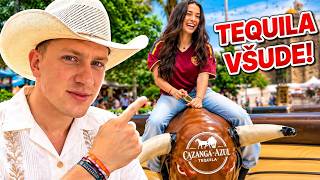 Mexická Přítelkyně Mi Ukázala Město Kde Vznikla Tequila