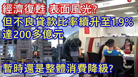 经济复苏 表面风光 ? 但不良贷款比率持续升至1.9%  达200多亿元 ! 暂时还是整体消费降级 ? - 天天要闻