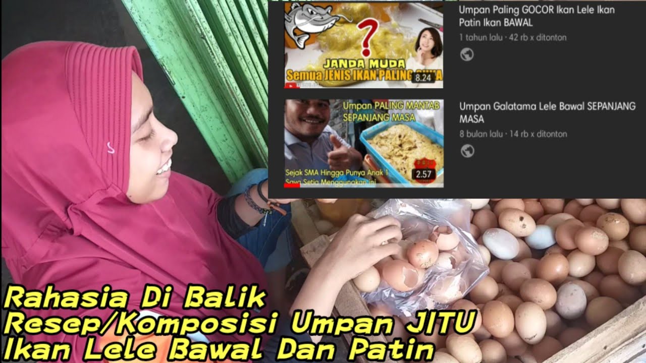 Rahasia Di Balik Resep/Komposisi Umpan JITU Ikan Lele Rahasia Di Balik Resep/Komposisi Umpan JITU Ikan Lele