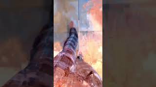 Super mosh part 2 #viral #trippy #datamosh