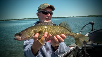 Walleye Fishing Secrets: Structure Tactics That Win