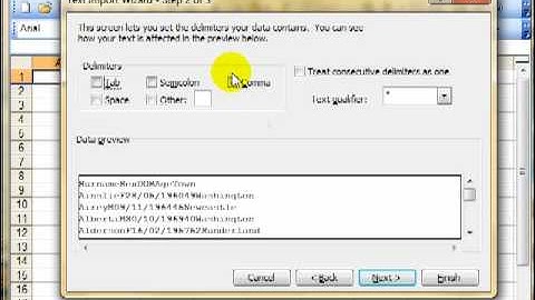 AM 4644 Import text delimited files Mirosoft excel 2003 ECDL Advanced ITQ3